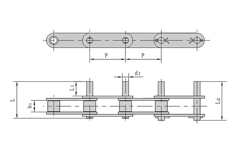 Características estructurales de la cadena transportadora