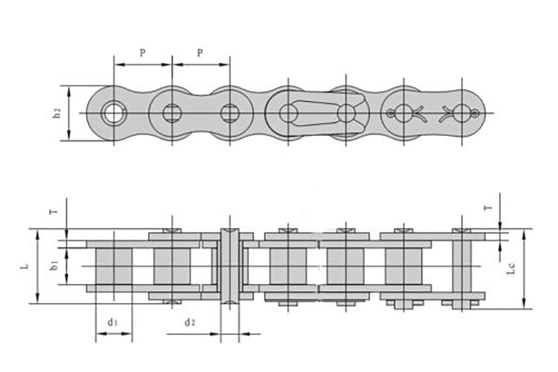 Roller Chain Factory presenta la gama de adaptabilidad de la cadena