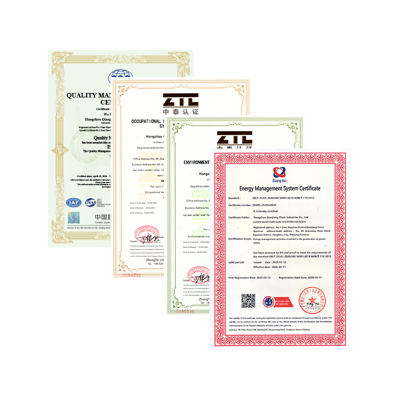 Hangzhou Qianjiang Chain Industries Co., Ltd. aprobó la certificación anual del sistema